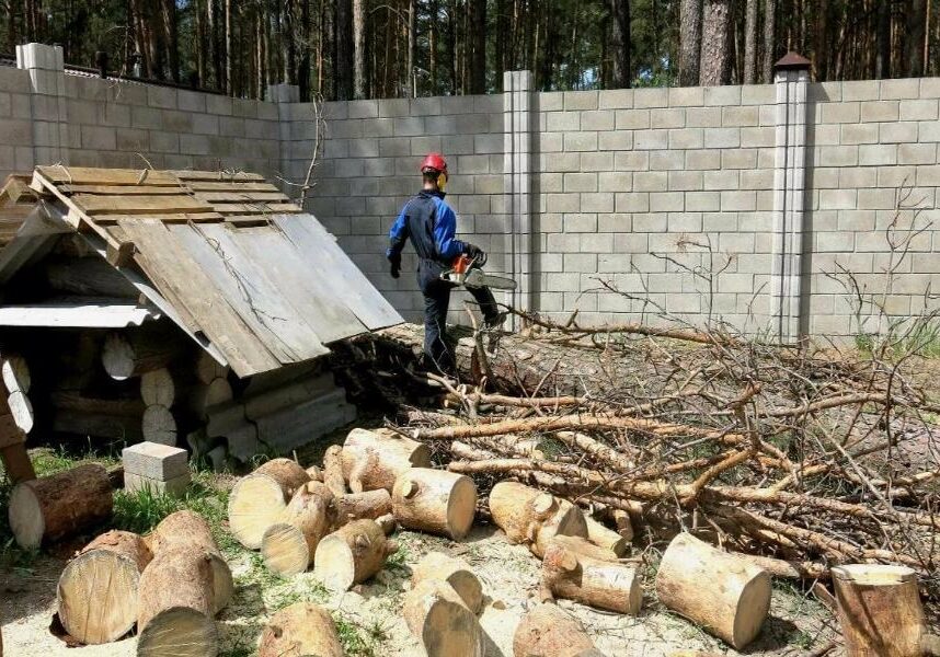 Вывоз Веток и Деревьев